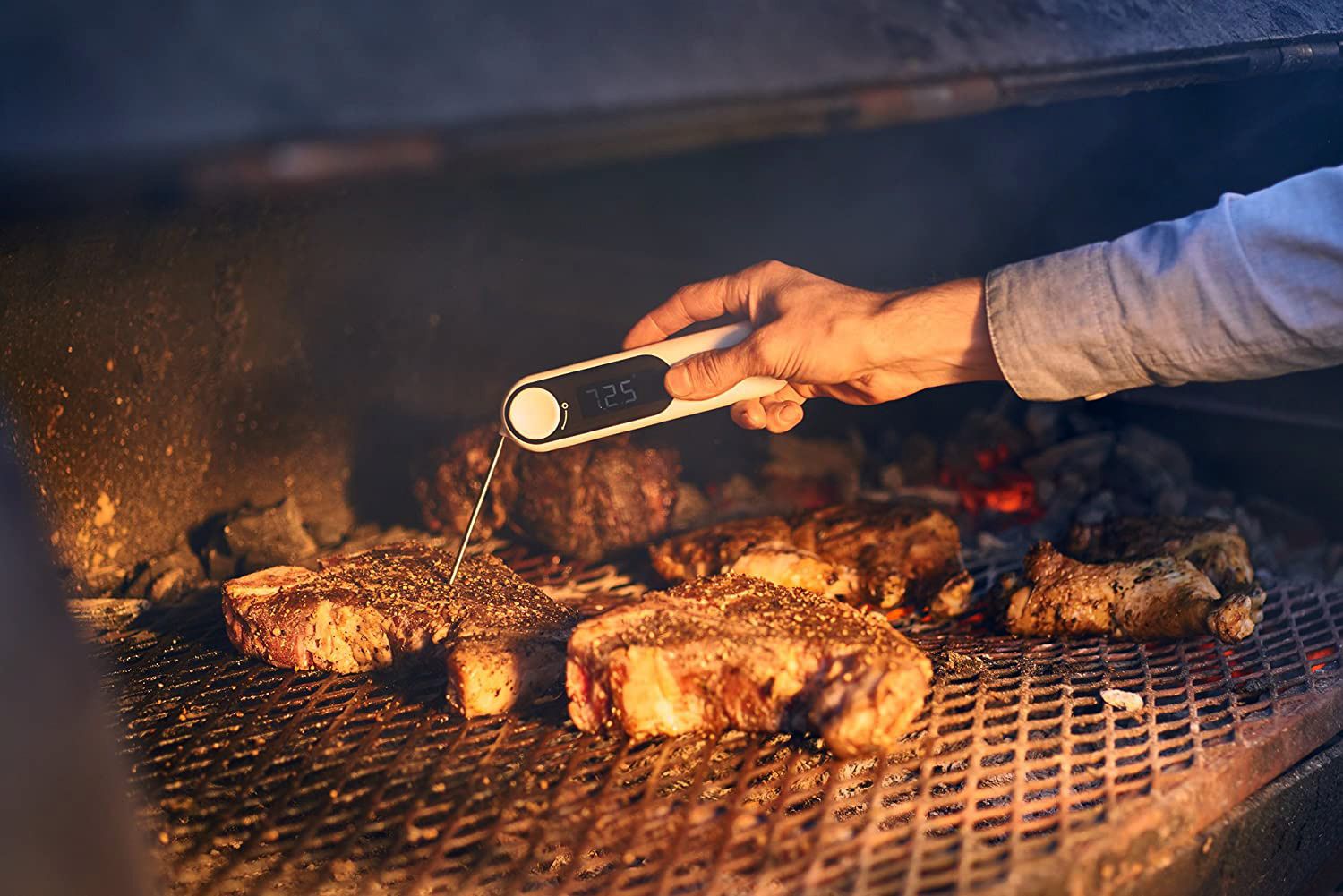 The Best Instant-Read Digital Thermometer for Grilling - Delishably