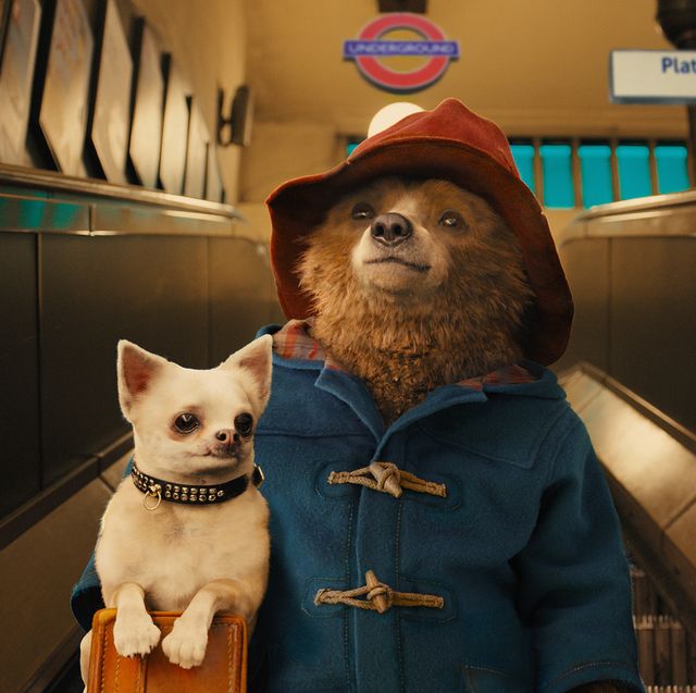 paddington bear rides up a tube escalator with a suitcase and dog in a scene from paddington the movie is a good housekeeping pick for best kids movies on netflix