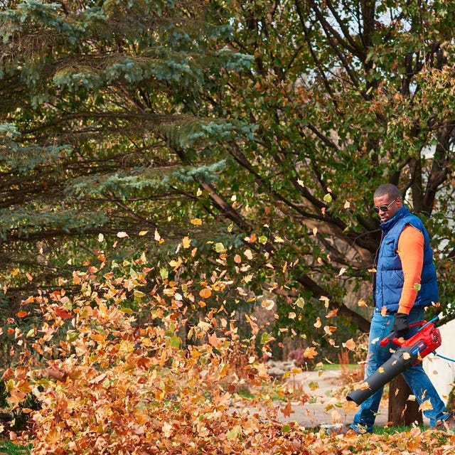 best leaf blowers