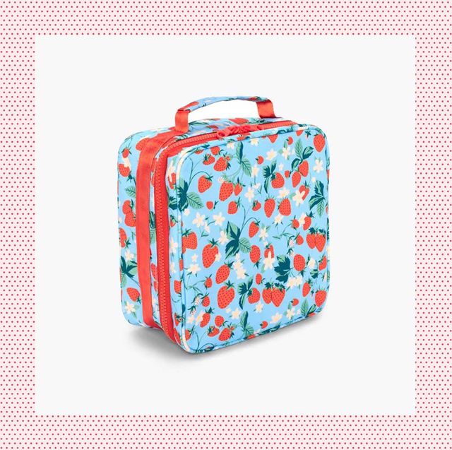 best lunch boxes for kids bando strawberry printed lunch box and colorblock melamine lunch box