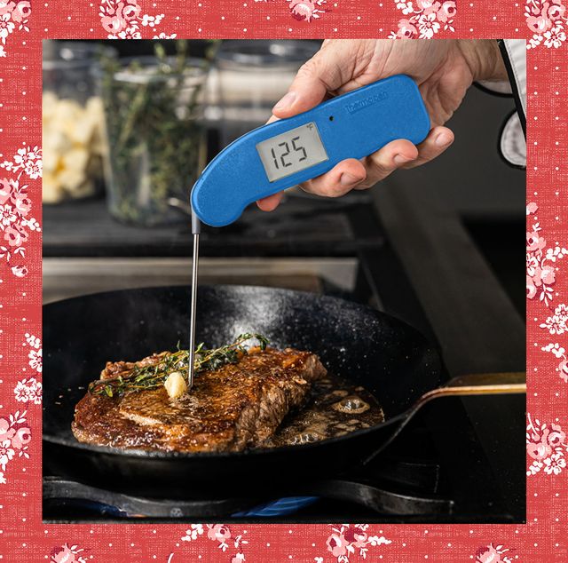 best meat thermometers