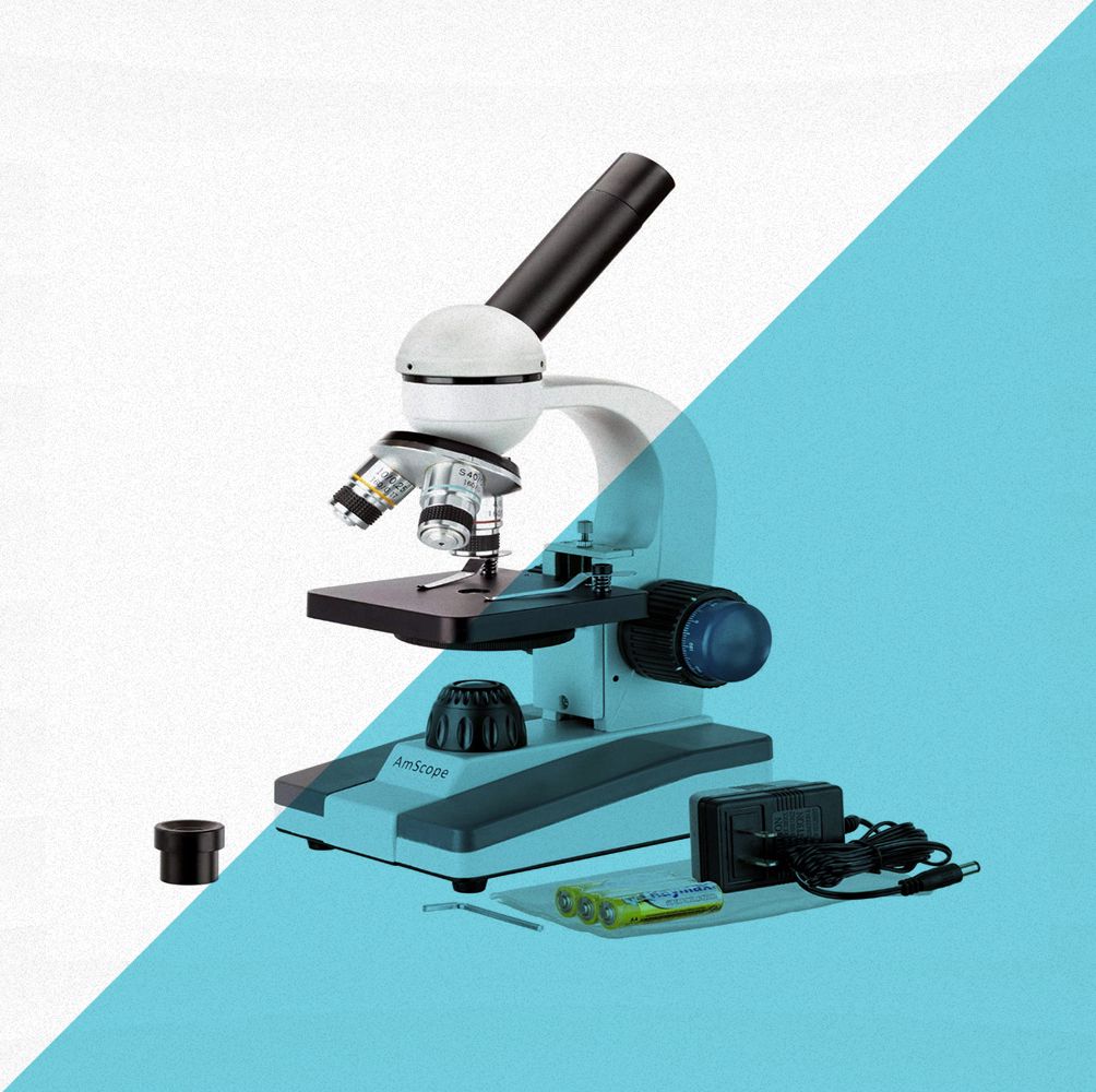 These Student-Friendly Microscopes Are Our Top Picks for Kids and Adults of All Ages