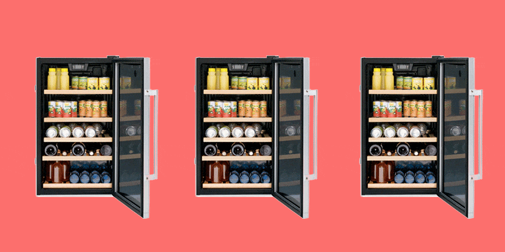 42++ Best mini fridge for produce info