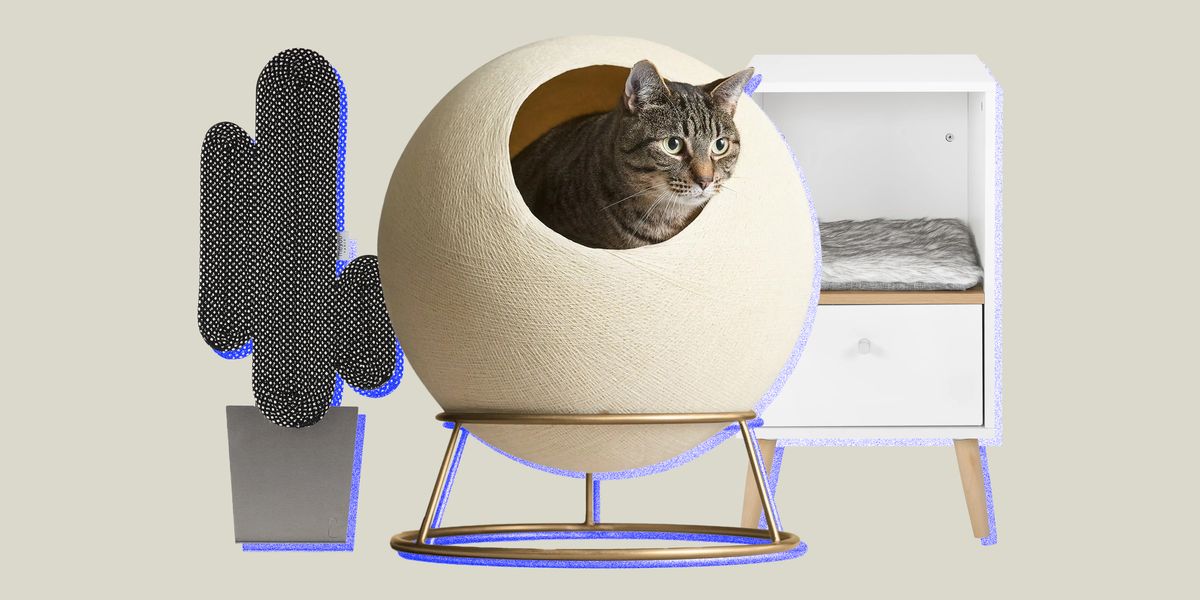 The Best Modern Cat Furniture That Actually Looks Good in Your Home