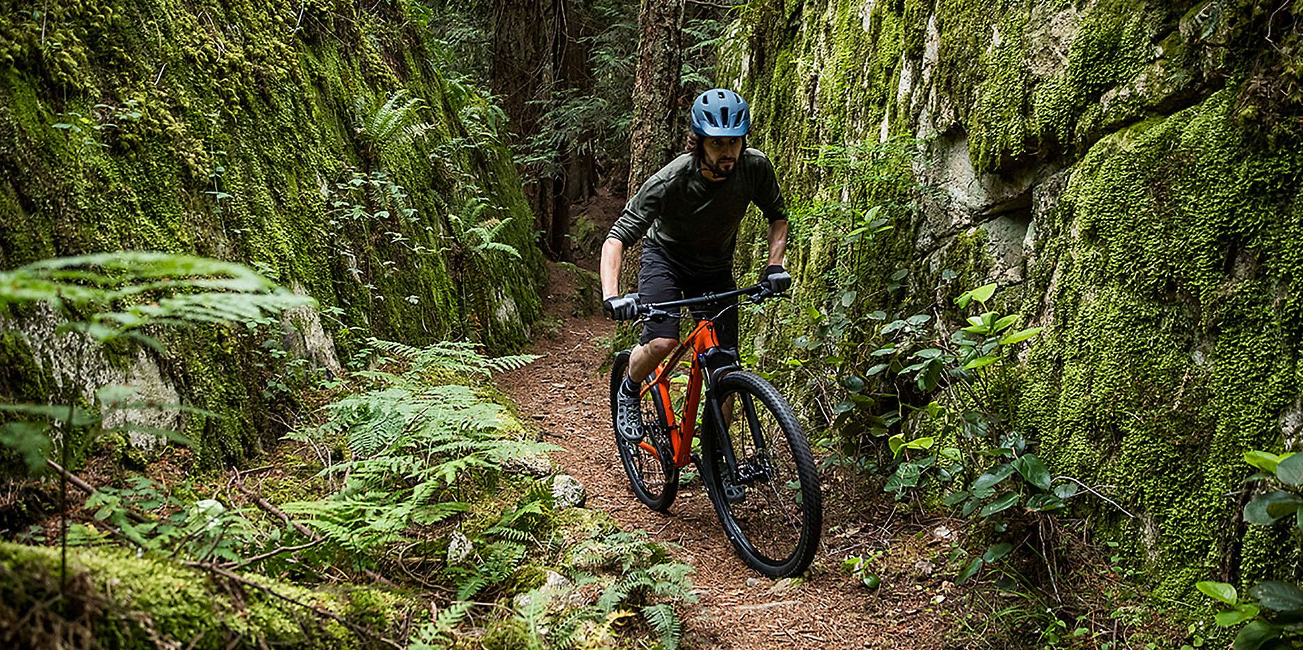 best mountain bike for road and trail