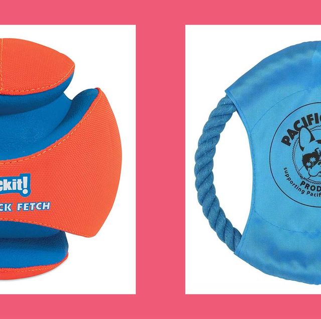 best outdoor dog toys chuckit kick fetch toy and pacific pups chew toy