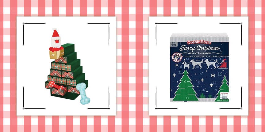 Your Dog Will Pawsitively Love These 9 Pet Advent Calendars