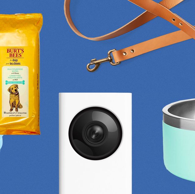 The Best Gifts for Dog Owners