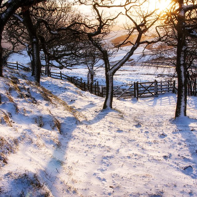 gentage Ødelæggelse svinge Best places to go for UK Snow - UK winter breaks