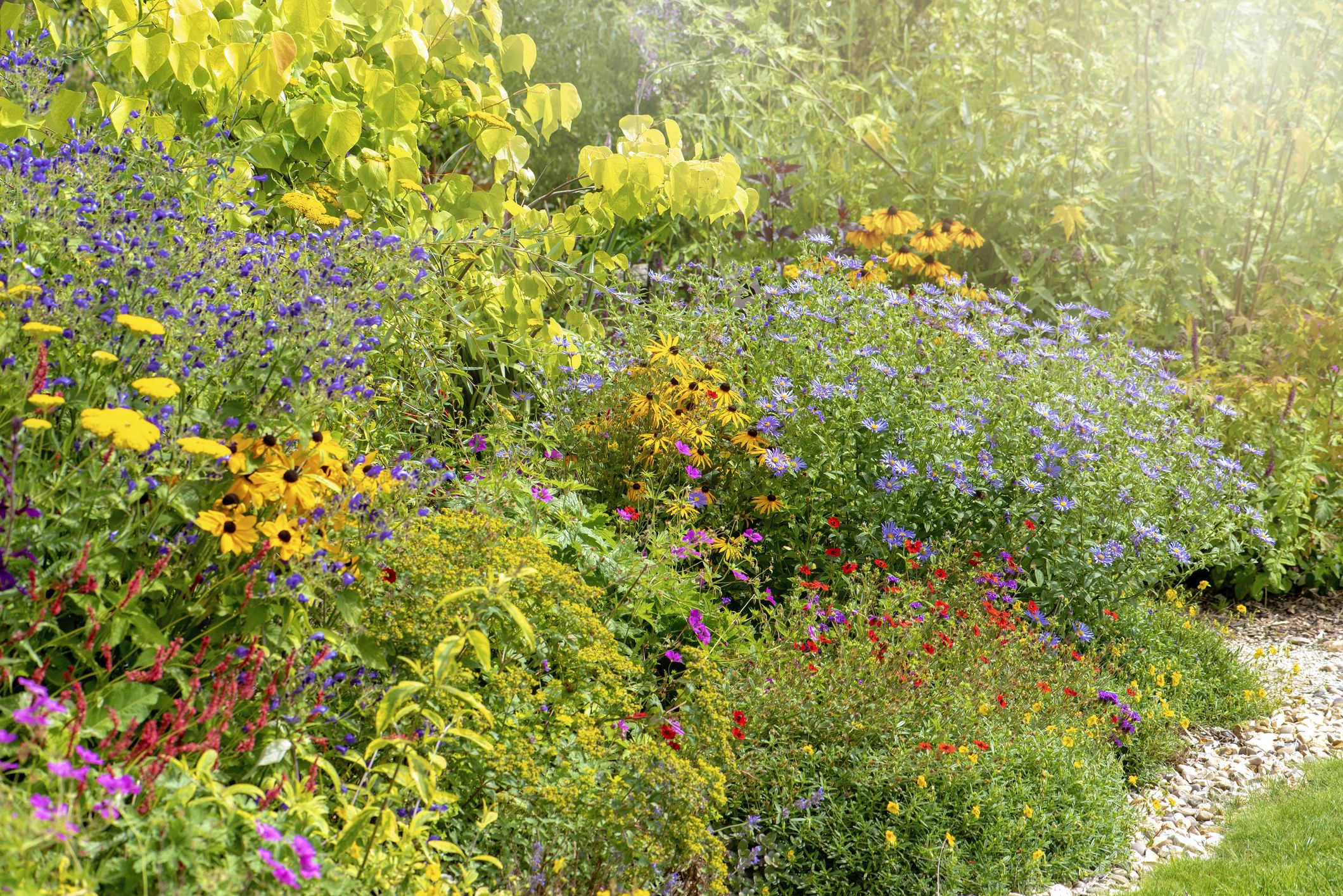 How To Plan Your Garden For The Best Seasonal Variety