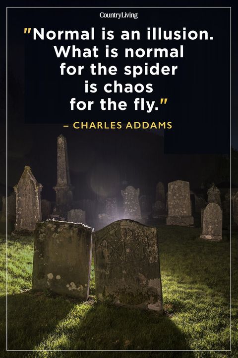 Best Scary Quotes Charles Addams