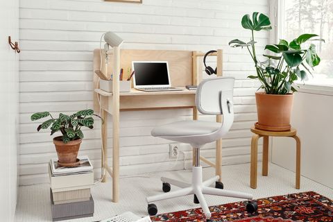 space setup with office chair and plants