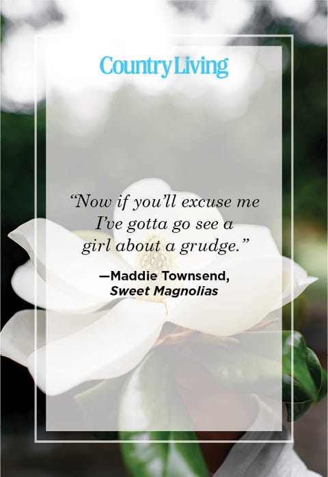 Best Sweet Magnolias Quotes Funny Southern Expressions