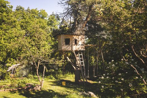 10 Best Treehouse Holidays in the UK