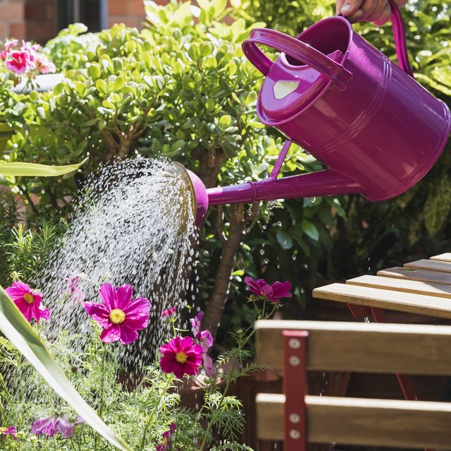 best watering cans