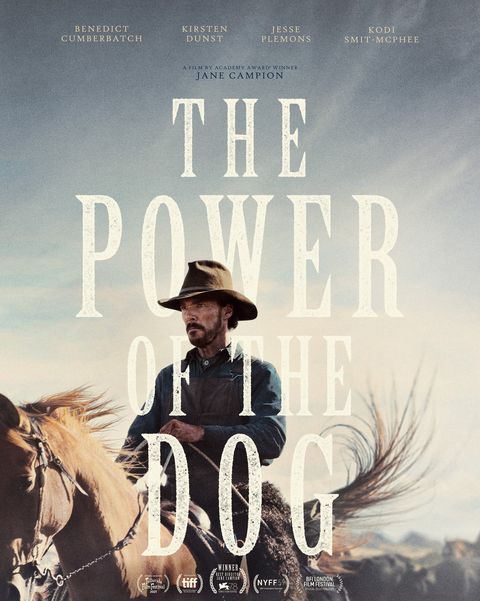 best western movies on netflix the power of the dog