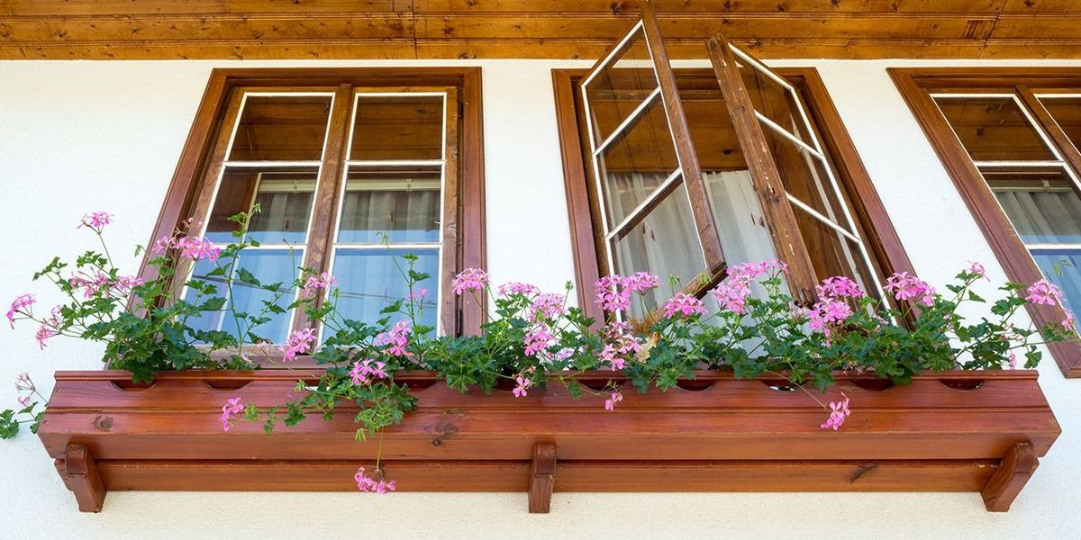 12 Best Window Box Planters to Spruce up Your Home