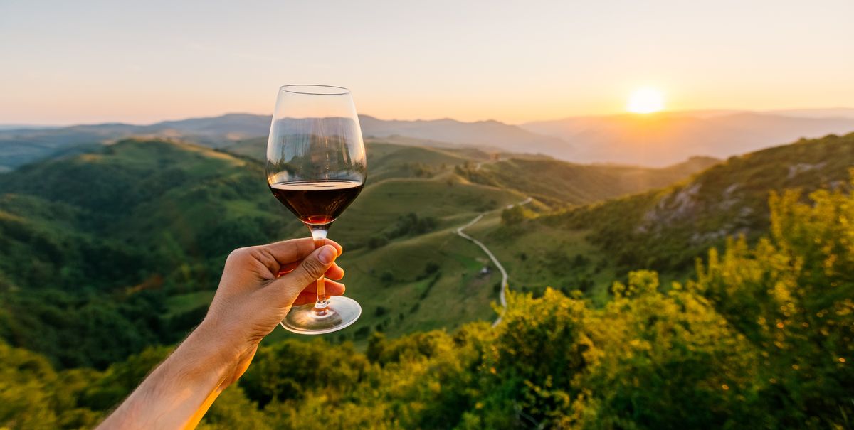 8 Best Wine Vacations – Best Summer Trips for Wine Lovers