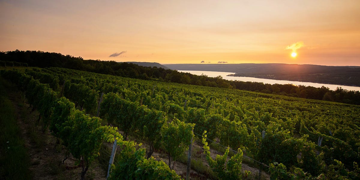 Best Wineries In New York State