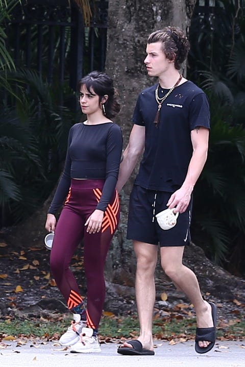 Twitter Is Roasting Shawn Mendes And Camila Cabello After They Were Spotted On A Walk Together