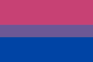 Bandera bisexual