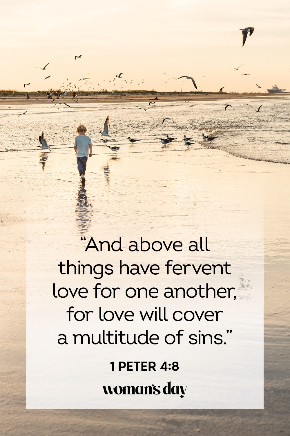 bible quotes cover photos