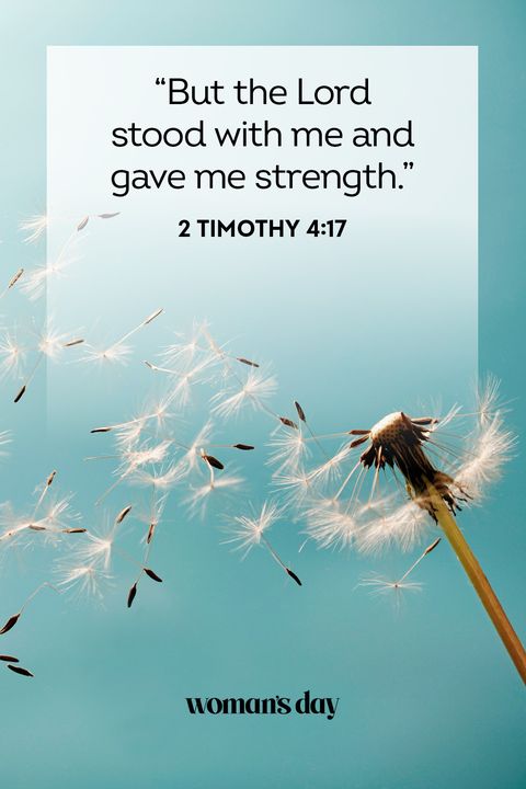 41 Best Bible Quotes Powerful Bible Scripture Verses Of The Day