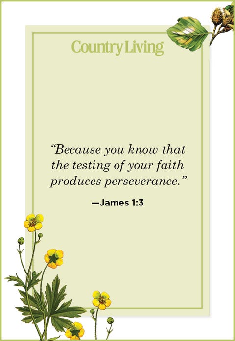 Quote from James 1:3