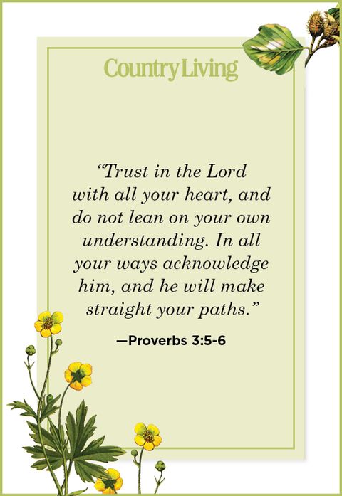 Quote from Proverbs 3:5-6