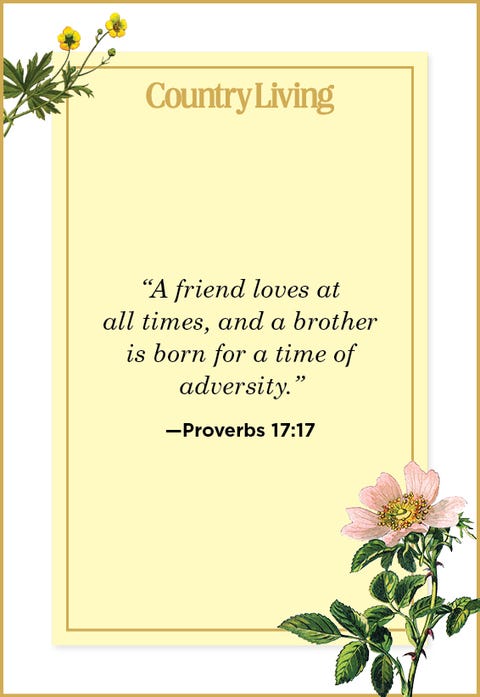 Proverbs 17:17 quote