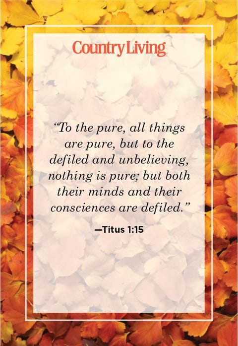 titus 115