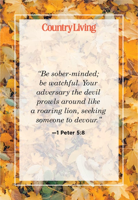 1 peter 58