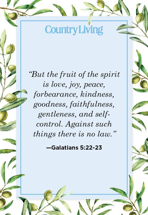 bible verse from galatians