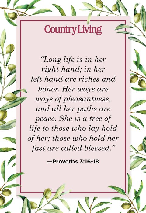 Quote from Proverbs 3:16-18