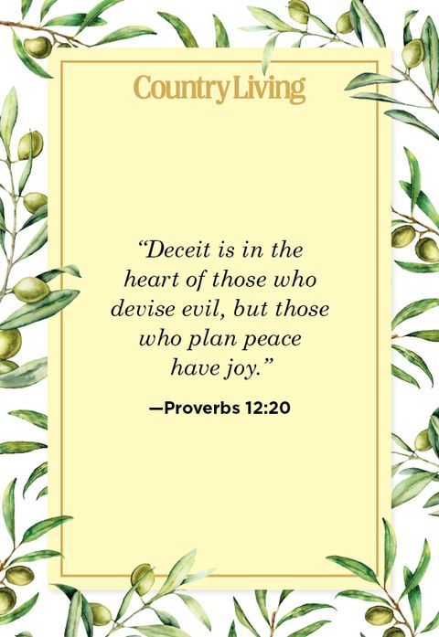 Quote from Proverbs 12:20