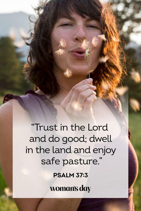 bible verses about trust psalm 37 3
