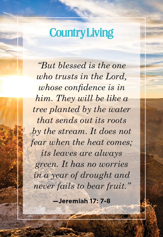 bible verses that tell us not to fear