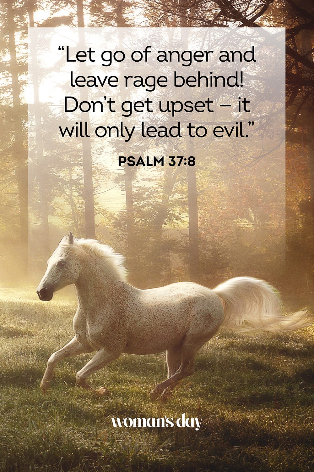 Anger Quotes Bible