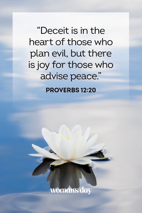 bible verses about peace  proverbs 12 20