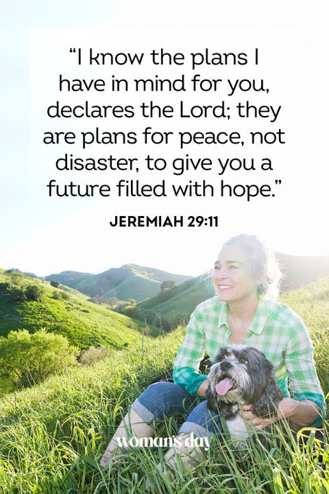 50 Bible Verses About Peace — Quotes and Scriptures On Peace