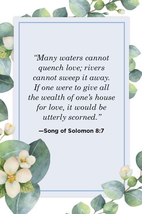 Proverbs of solomon quotes