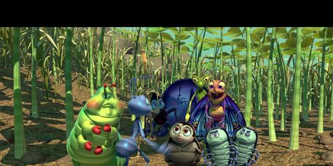 Películas infantiles protagonizadas por insectos - Películas para niños  sobre bichos