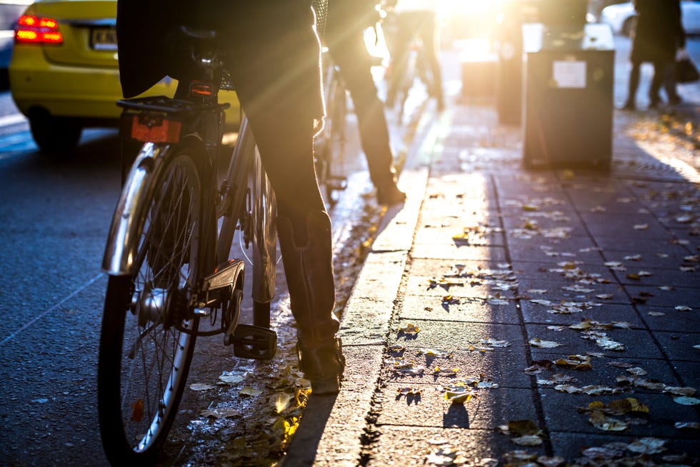 cyclists should not be allowed on the road