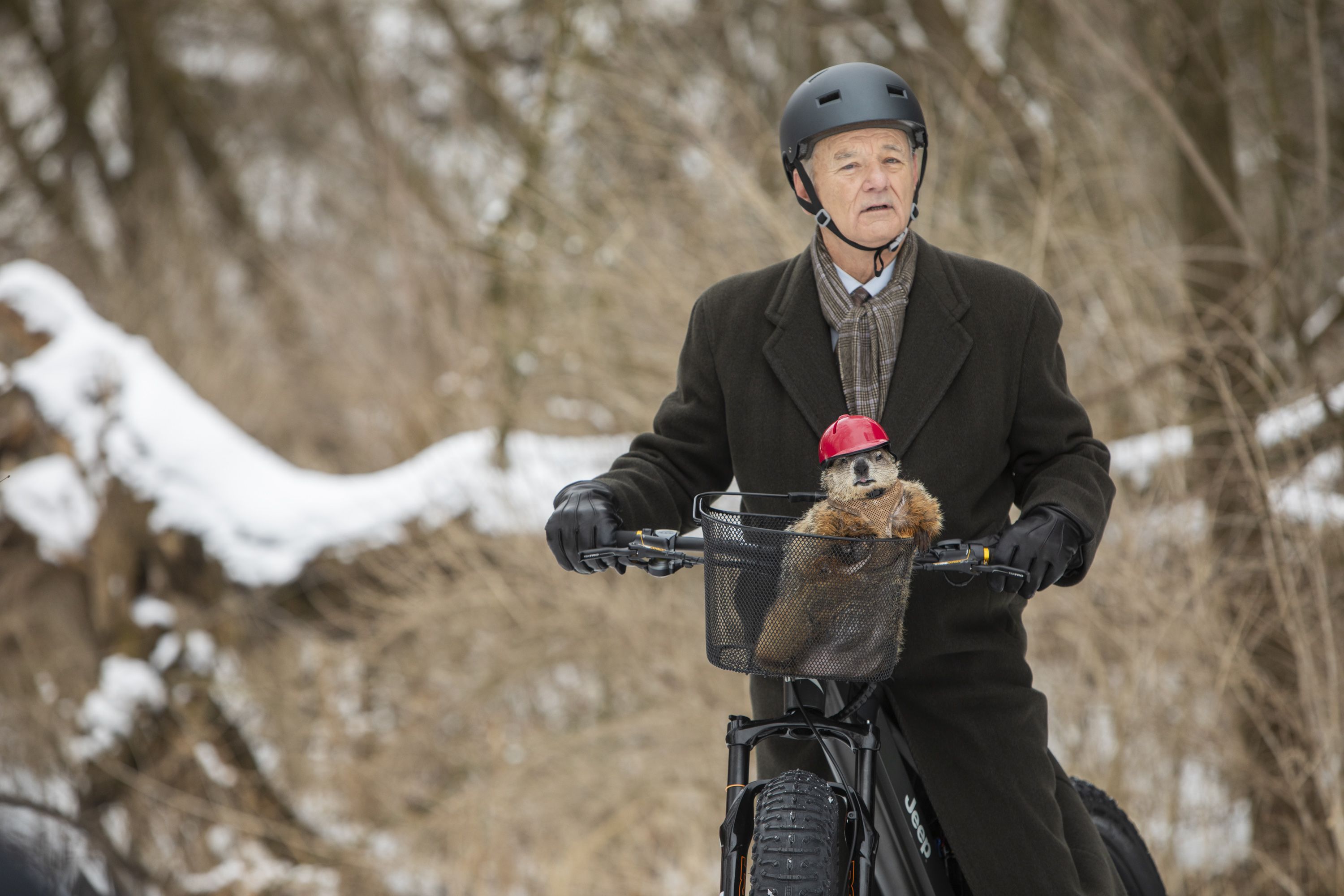 murray bike easy rider murray bike easy rider