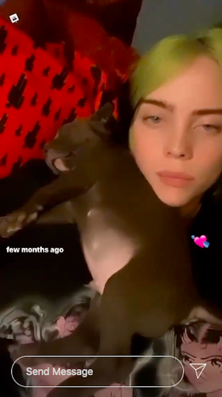 Billie eilish nude videos