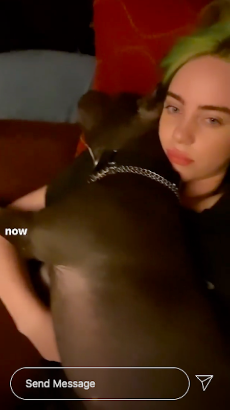 Billie Eilish just posted an adorable throwback with her dog