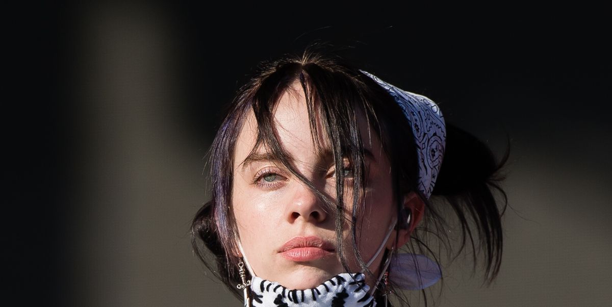 Billie Eilish Invited a Fan to Play With Her Pet Spider