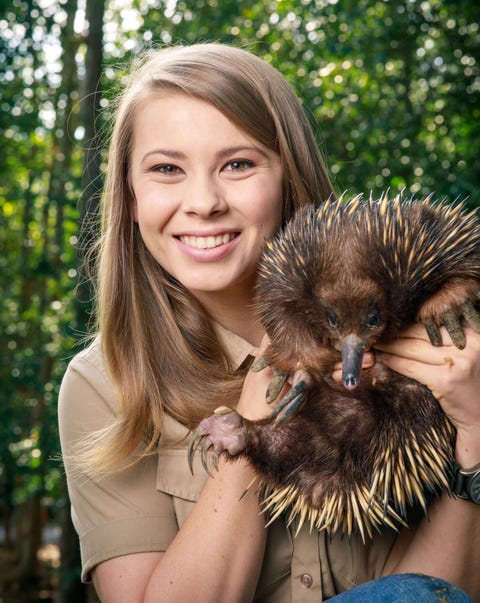 Steve Irwin's daughter Bindi on how she's continuing her dad's legacy ...