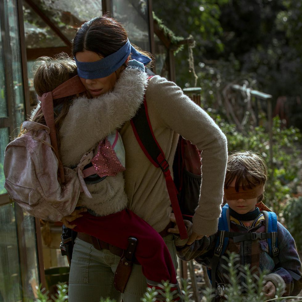 bird box creatures