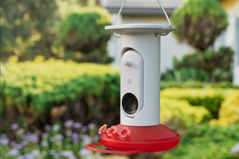 smart bird feeder